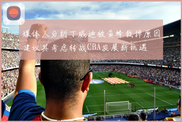 媒体人分析丁威迪被黄蜂裁掉原因建议其考虑转战CBA发展新机遇