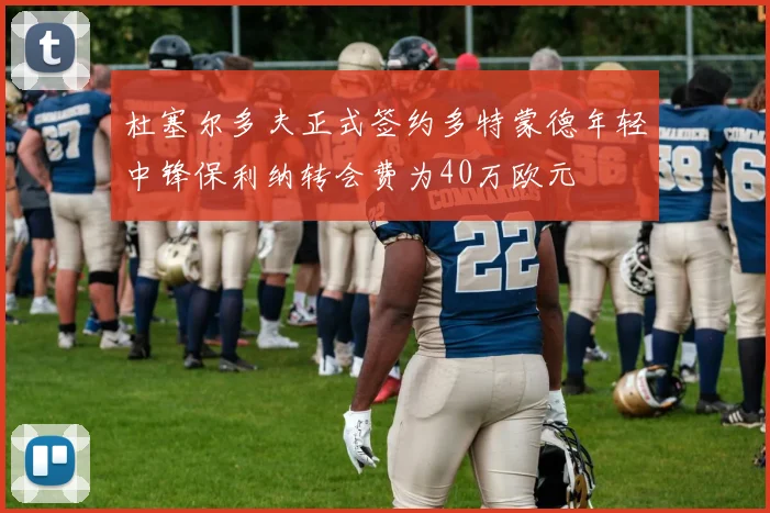 杜塞尔多夫正式签约多特蒙德年轻中锋保利纳转会费为40万欧元